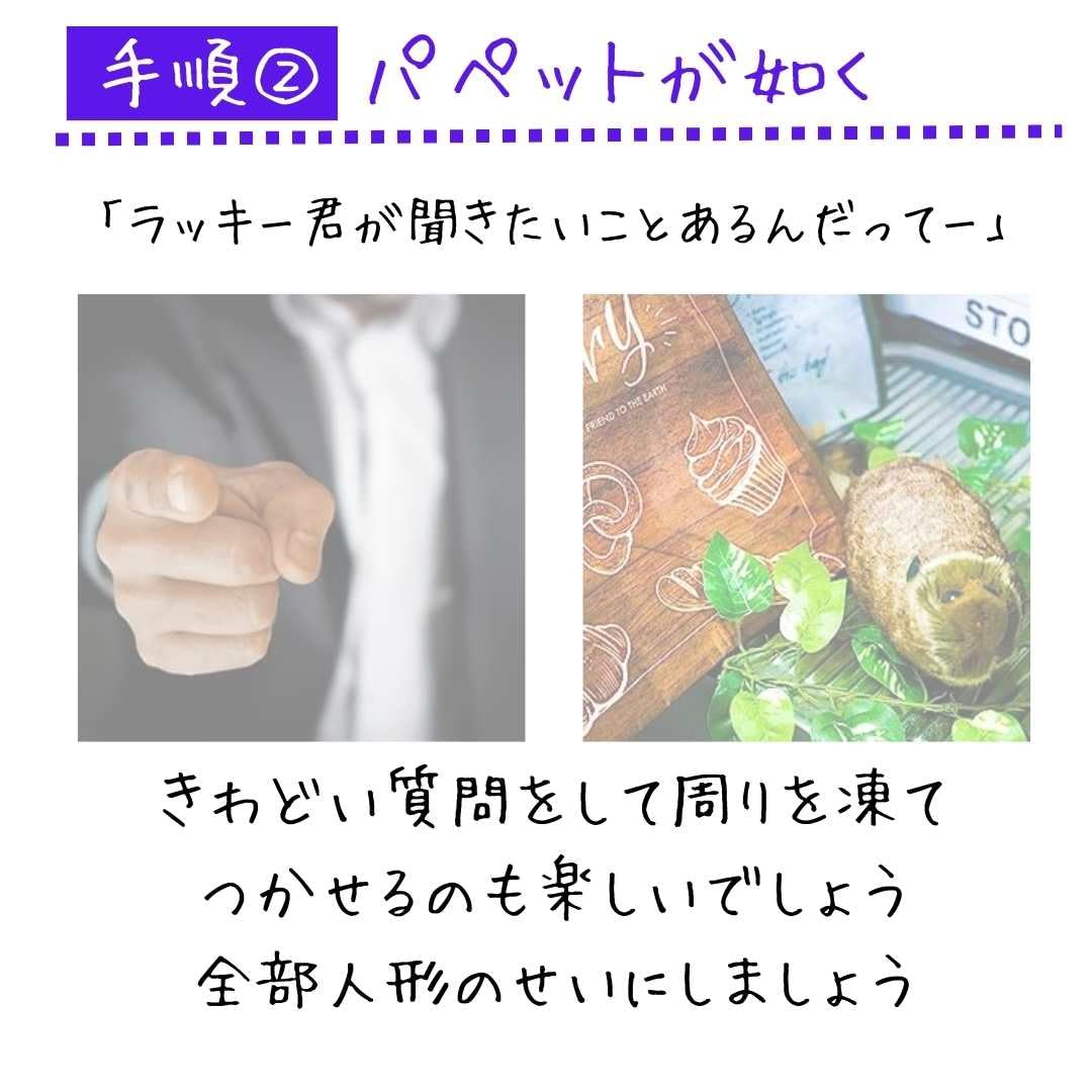 ラクーン ラッキー君 スプリングペット マジック用ぬいぐるみ